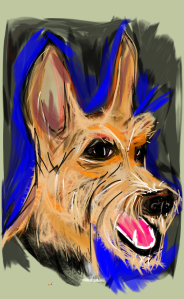 lee mcroberts' pic of red