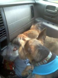 annie and red in truck