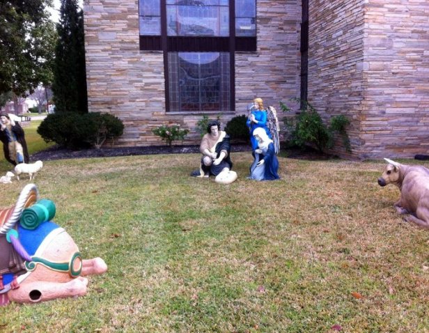 Navasota Nativity Overview