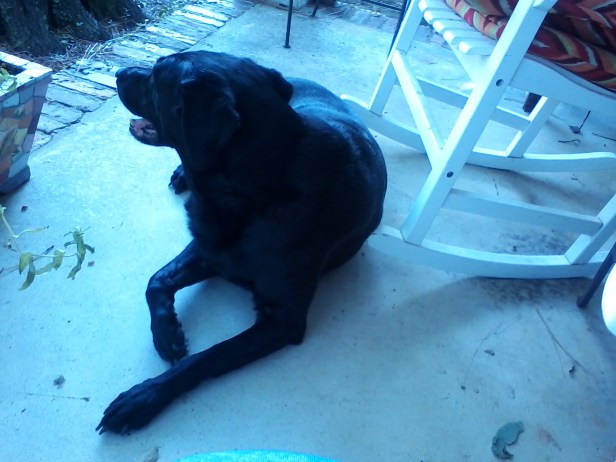 Chelsea on the porch, August, 2015